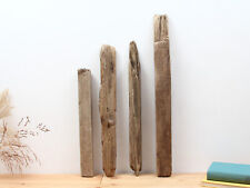 Treibholz leisten 62cm gebraucht kaufen  Bad Schandau