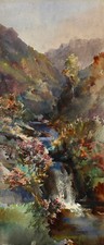Tavy cleave gorge. for sale  INVERNESS
