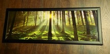 Dekoratives wandbild fotodruck gebraucht kaufen  Bennewitz