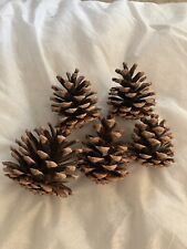 Extra large pine for sale  LONDON