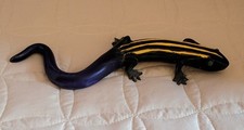 Glass lizard salamander for sale  Richmond