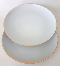 Speiseteller arzberg cucina gebraucht kaufen  Fürth