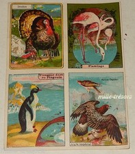 Images chromo ricqles d'occasion  Ham