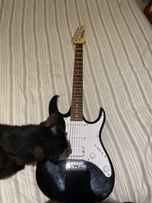 Ibanez grx40 usato  Firenze