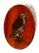 Vintage oval wood for sale  Knox