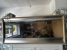 Pre owned bearded for sale  BEXHILL-ON-SEA