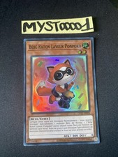 Card baby raccoon d'occasion  Expédié en Belgium