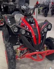 Mini quad 50cc usato  Palermo