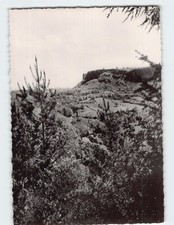 Cartolina veduta panoramica usato  Spedire a Italy