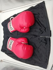 Everlast boxing gloves for sale  Bonne Terre