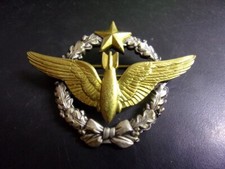 Aviation brevet pilote d'occasion  Gray