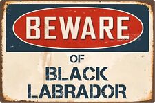 Beware black labrador for sale  DUNSTABLE