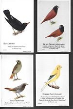 Capern cage birds d'occasion  Expédié en Belgium