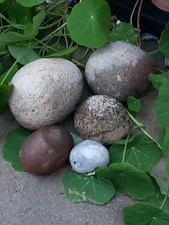 Large round boulders for sale  Capistrano Beach