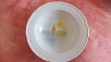 Assiette creuse faïence d'occasion  Luçon