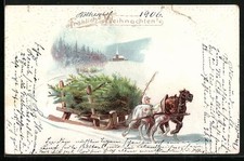 Transport weihnachtsbäumen pe gebraucht kaufen  Berlin