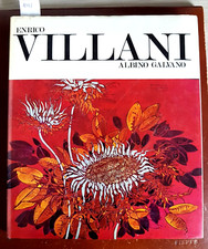 Enrico villani albino usato  Italia