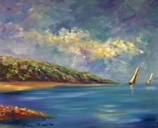 Dam domido peinture d'occasion  Ajaccio-