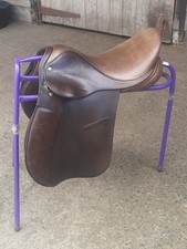 Good quality falcon for sale  NORTH SHIELDS