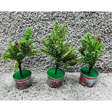 Lot mini potted for sale  Lemon Grove