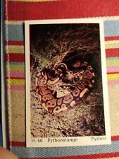 Pt3 trade card for sale  LEICESTER
