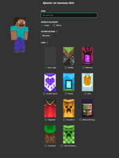 Minecraft founder cape d'occasion  Lunel