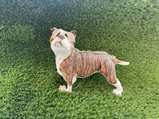 Boxer dog sparkle for sale  WAKEFIELD