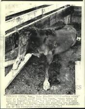 1971 press photo for sale  Memphis