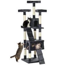 Charcoal grey cat for sale  UK