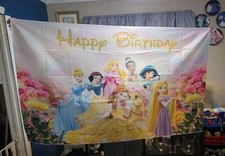 Novo banner/sinal de feliz aniversário princesa da Disney comprar usado  Enviando para Brazil