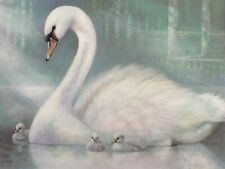 Swans vintage framed for sale  Branford