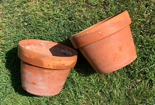 Pair vintage terracotta for sale  Buffalo