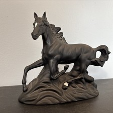 Beautiful black stallion for sale  Franklin
