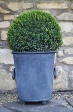 Galvanised planter zinc for sale Galvanised planter zinc for sale  OAKHAM