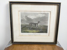 Antique engraving print for sale  ALDERSHOT