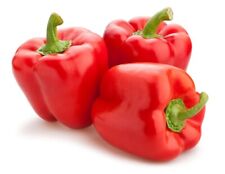 Samen rote paprika gebraucht kaufen  Frammersbach