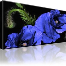Blaue mohnblume bild gebraucht kaufen  Deutschland