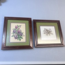 Set framed floral for sale  Columbia