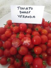 Tomato dwarf veranda for sale  LONDON