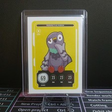 Veefriends perspective pigeon for sale  PLYMOUTH