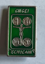 Scout cngei spilla usato  Sirmione