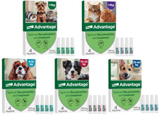 Spot flea treatment for sale Spot flea treatment for sale  WATFORD