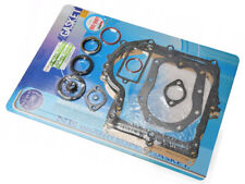 Motor dichtungssatz briggs gebraucht kaufen  Görlitz-Umland