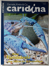 Caridina 2021 garnele gebraucht kaufen  Mönchengladbach