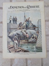 1905 domenica del usato  Tavigliano