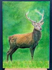 stag painting for sale  MANCHESTER