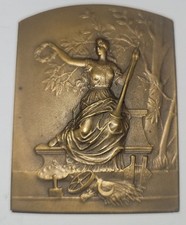 Médaille plaque bronze d'occasion  Amiens-