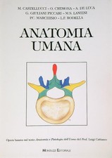 Anatomia umana aa.vv. usato  Italia