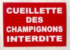Panneau cueillette champignons d'occasion  Rougemont