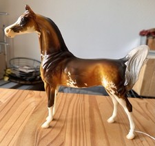 Peter stone arabian for sale  NEWMARKET